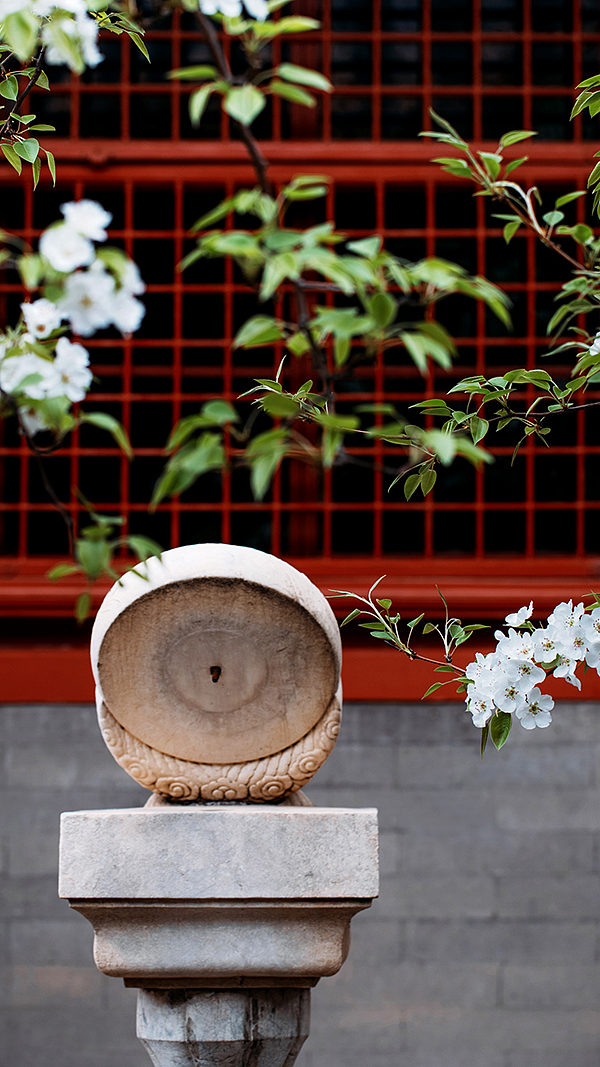 摄影，雪景，雕塑，紫禁城，宫殿，朱红，海棠花，中国元素，中国风，日晷，北京故宫，景观，场景，建筑，故宫博物院，文物，历史，