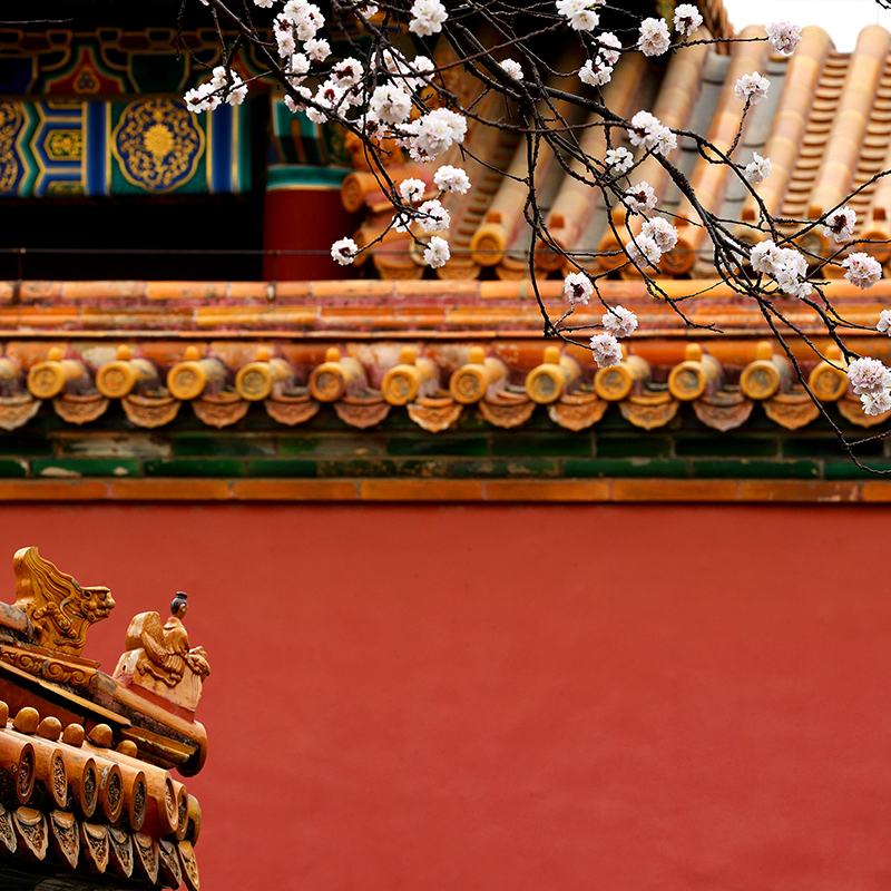 Photography，snow scene，Sculpture，the Forbidden City，palace，Zhu Hong，Begonia flower，Chinese elements，Chinese style，palace，sundial，Beijing Forbidden City，Scenery，scene，Architecture，the Palace Museum，Cultural Relic，history，