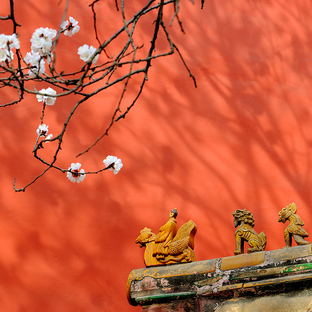 Photography，snow scene，Sculpture，the Forbidden City，palace，Zhu Hong，Begonia flower，Chinese elements，Chinese style，palace，sundial，Beijing Forbidden City，Scenery，scene，Architecture，the Palace Museum，Cultural Relic，history，
