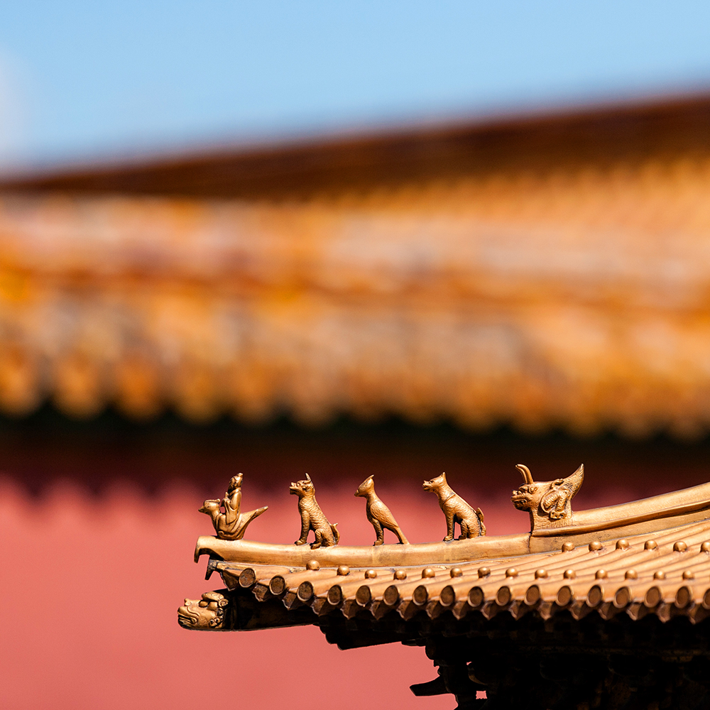 Photography，snow scene，Sculpture，the Forbidden City，palace，Zhu Hong，Begonia flower，Chinese elements，Chinese style，palace，sundial，Beijing Forbidden City，Scenery，scene，Architecture，the Palace Museum，Cultural Relic，history，