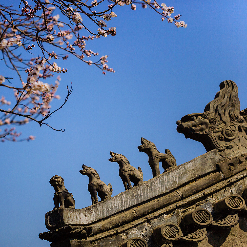 Photography，snow scene，Sculpture，the Forbidden City，palace，Zhu Hong，Begonia flower，Chinese elements，Chinese style，palace，sundial，Beijing Forbidden City，Scenery，scene，Architecture，the Palace Museum，Cultural Relic，history，
