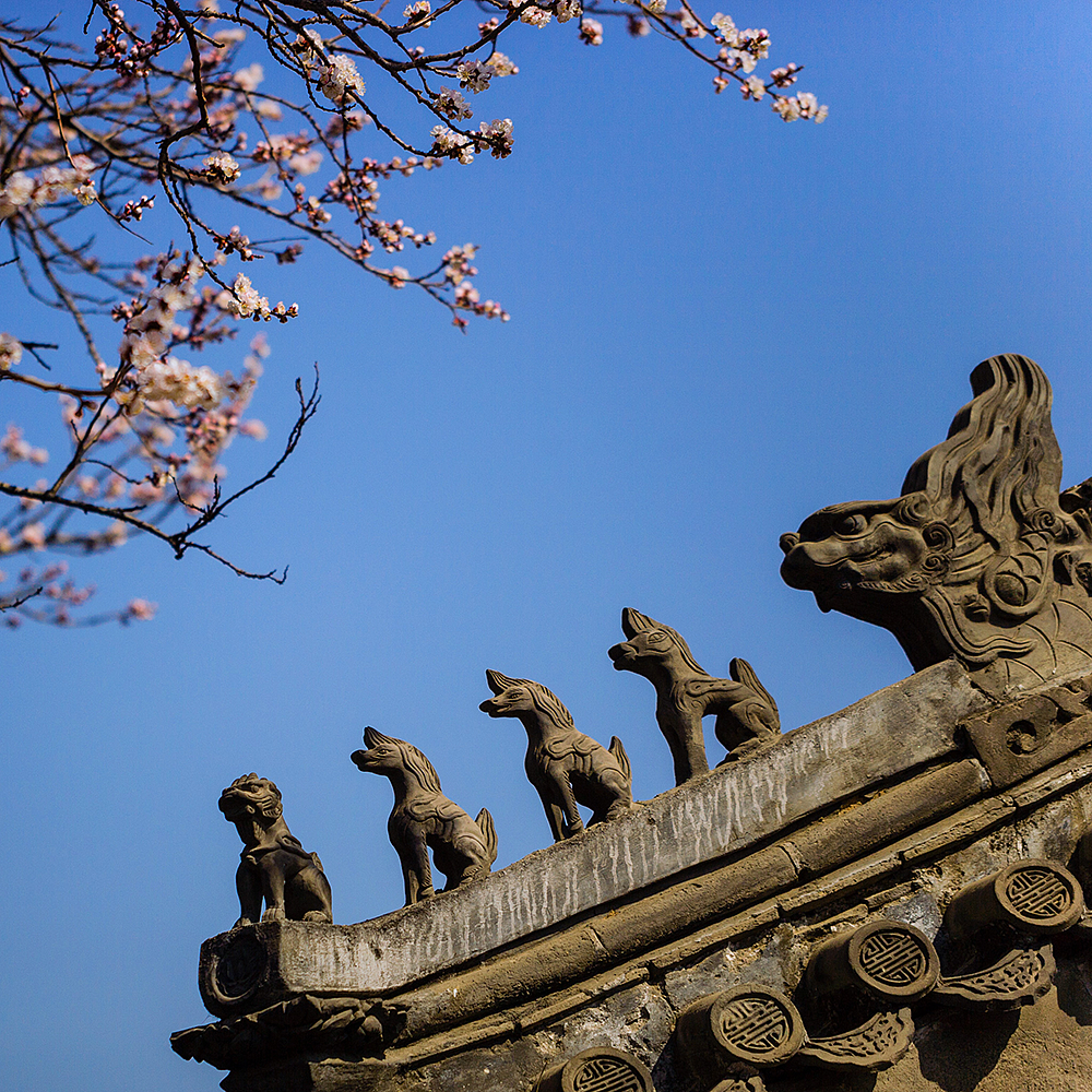 摄影，雪景，雕塑，紫禁城，宫殿，朱红，海棠花，中国元素，中国风，日晷，北京故宫，景观，场景，建筑，故宫博物院，文物，历史，