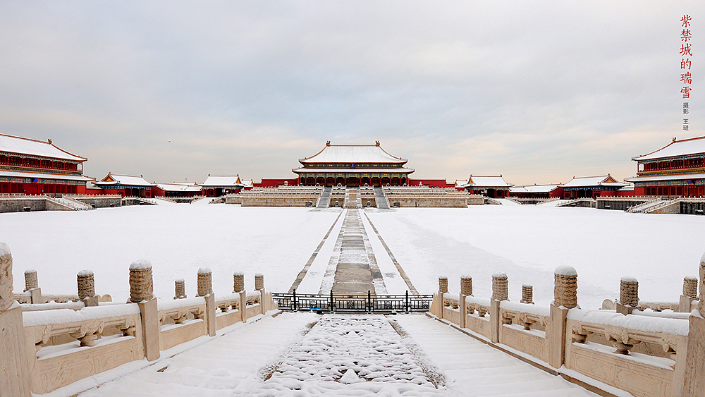 摄影，雪景，雕塑，紫禁城，宫殿，朱红，海棠花，中国元素，中国风，日晷，北京故宫，景观，场景，建筑，故宫博物院，文物，历史，