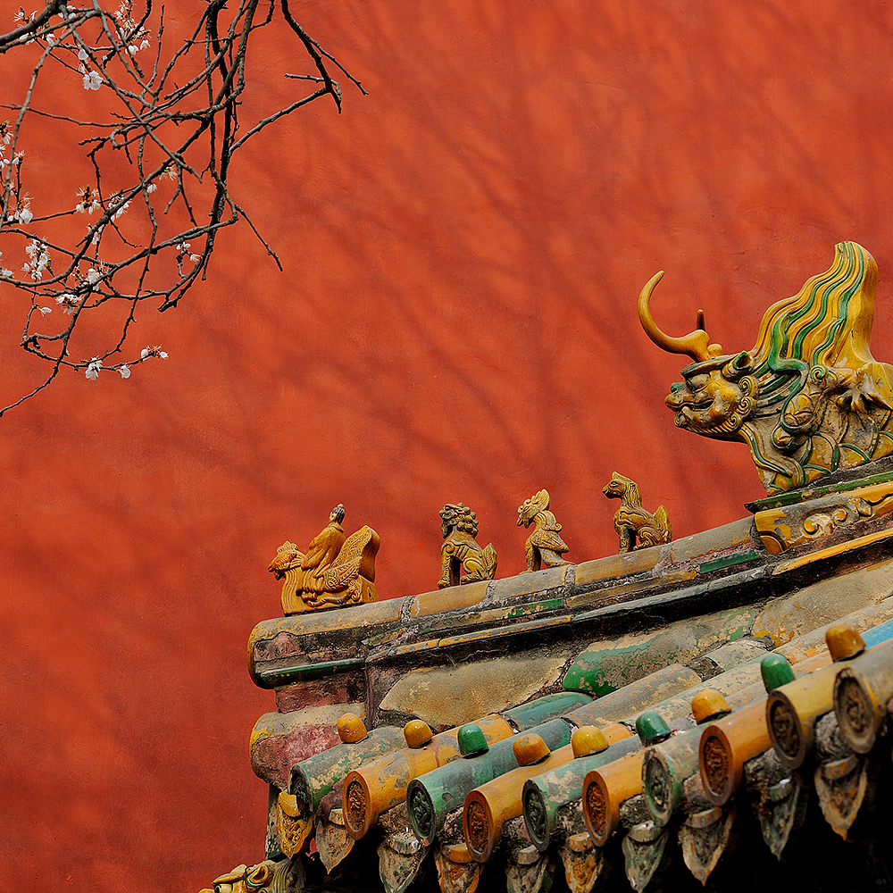 Photography，snow scene，Sculpture，the Forbidden City，palace，Zhu Hong，Begonia flower，Chinese elements，Chinese style，palace，sundial，Beijing Forbidden City，Scenery，scene，Architecture，the Palace Museum，Cultural Relic，history，