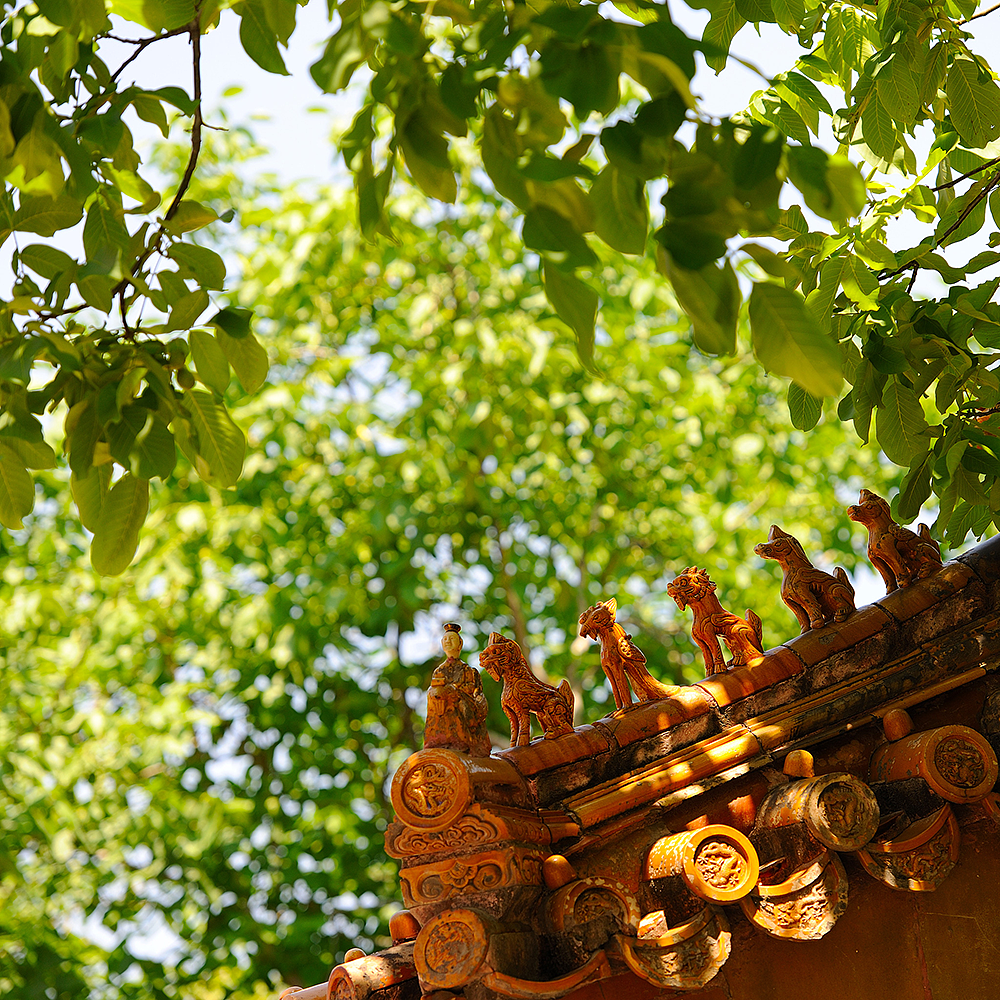 Photography，snow scene，Sculpture，the Forbidden City，palace，Zhu Hong，Begonia flower，Chinese elements，Chinese style，palace，sundial，Beijing Forbidden City，Scenery，scene，Architecture，the Palace Museum，Cultural Relic，history，