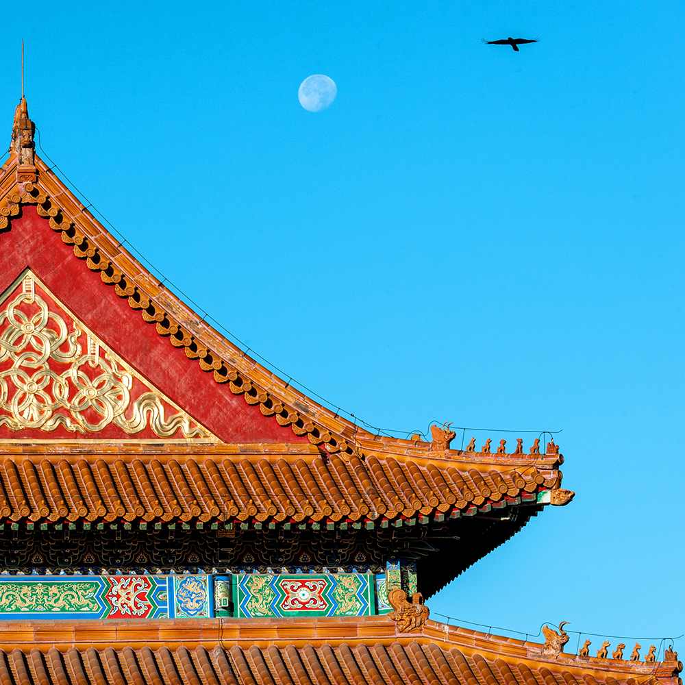 Photography，snow scene，Sculpture，the Forbidden City，palace，Zhu Hong，Begonia flower，Chinese elements，Chinese style，palace，sundial，Beijing Forbidden City，Scenery，scene，Architecture，the Palace Museum，Cultural Relic，history，