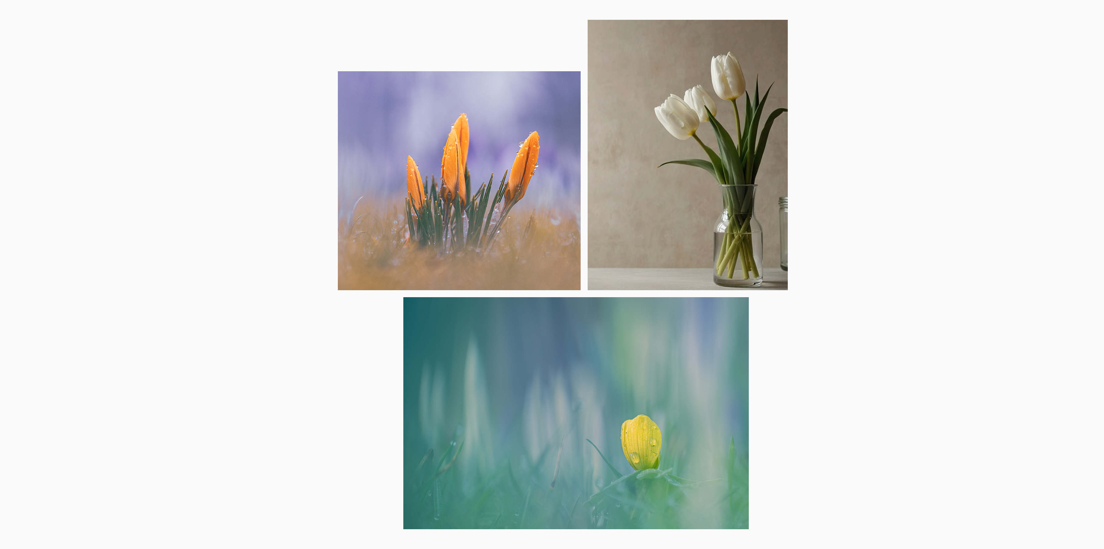 Hair stick，product design，cosmetology，