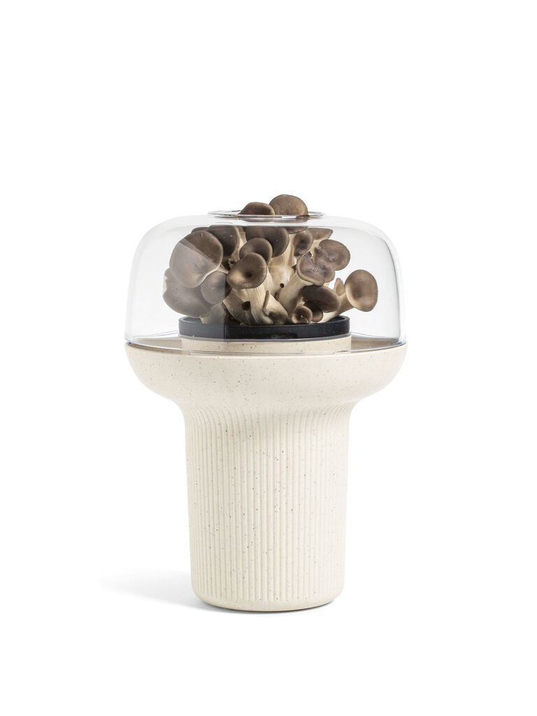 2025 Red Dot Product Design Award，Garden furniture and gardening tools，Flowerpot，