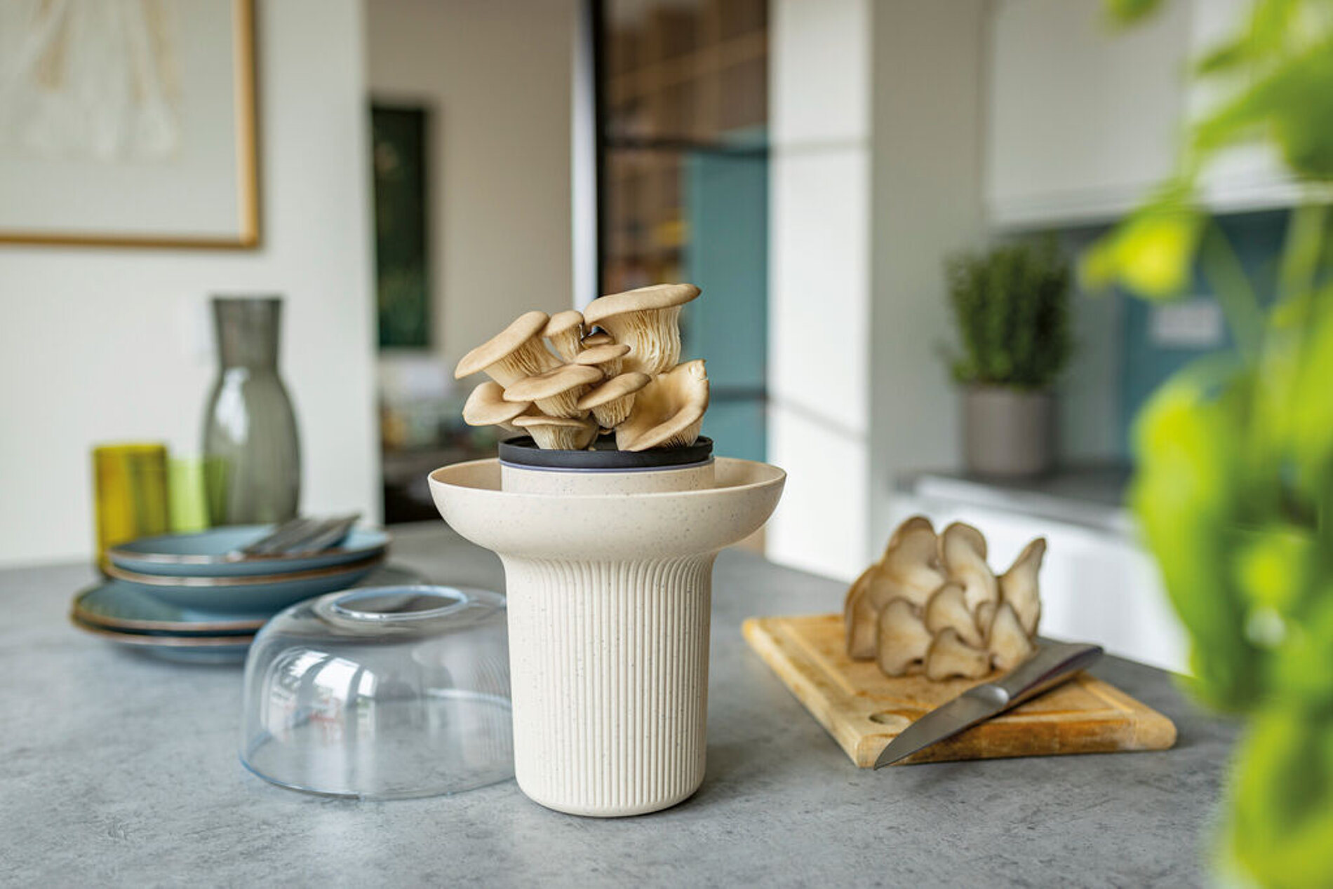 2025 Red Dot Product Design Award，Garden furniture and gardening tools，Flowerpot，