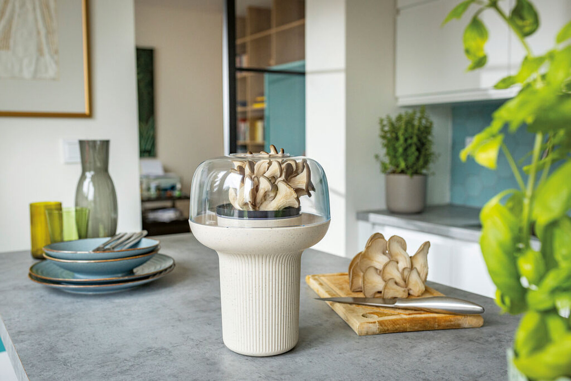 2025 Red Dot Product Design Award，Garden furniture and gardening tools，Flowerpot，