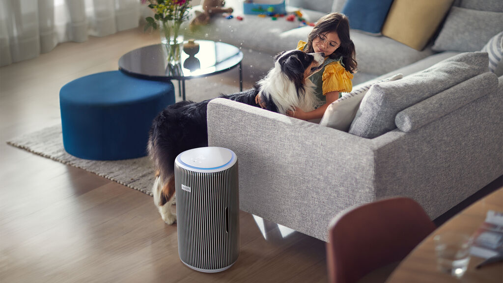 2025 Red Dot Product Design Award，Heating and cooling，air cleaner，