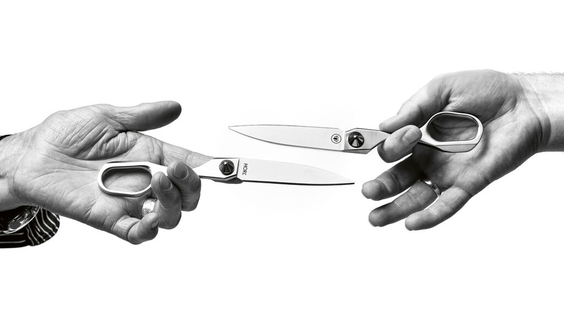 2025 Red Dot Product Design Award，Kitchen Design & Kitchen Appliances & Tableware，scissors，