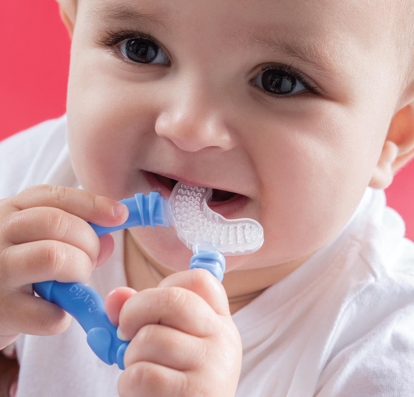 Nuvita，Dental gum，massage，baby，Parenting，