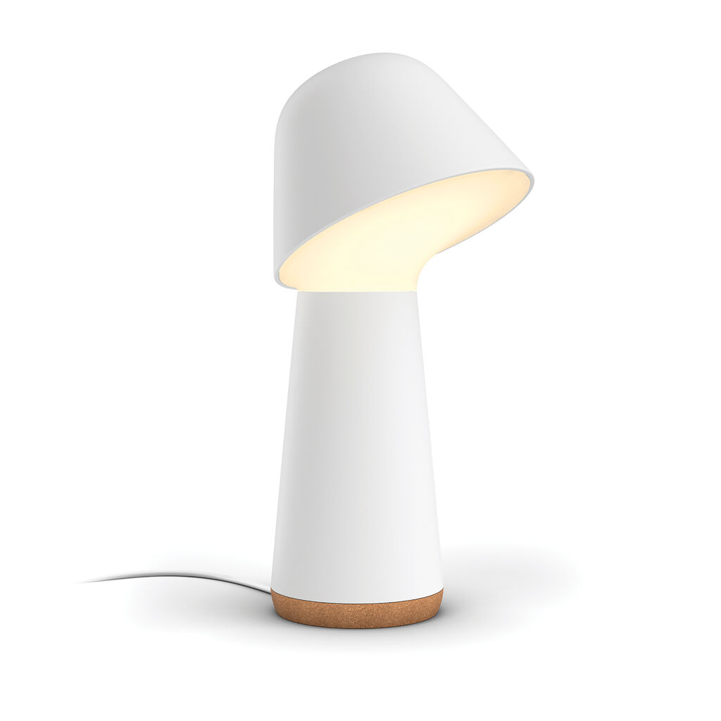 2025 Red Dot Product Design Award，Lighting and lamps，Desk lamp，