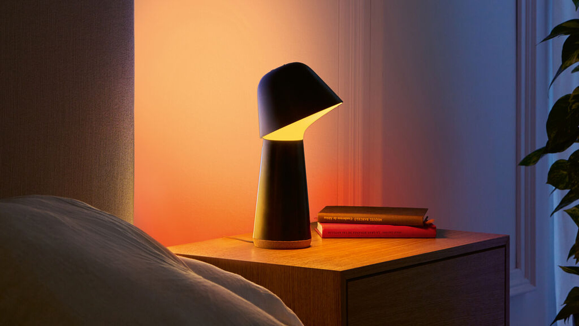 2025 Red Dot Product Design Award，Lighting and lamps，Desk lamp，