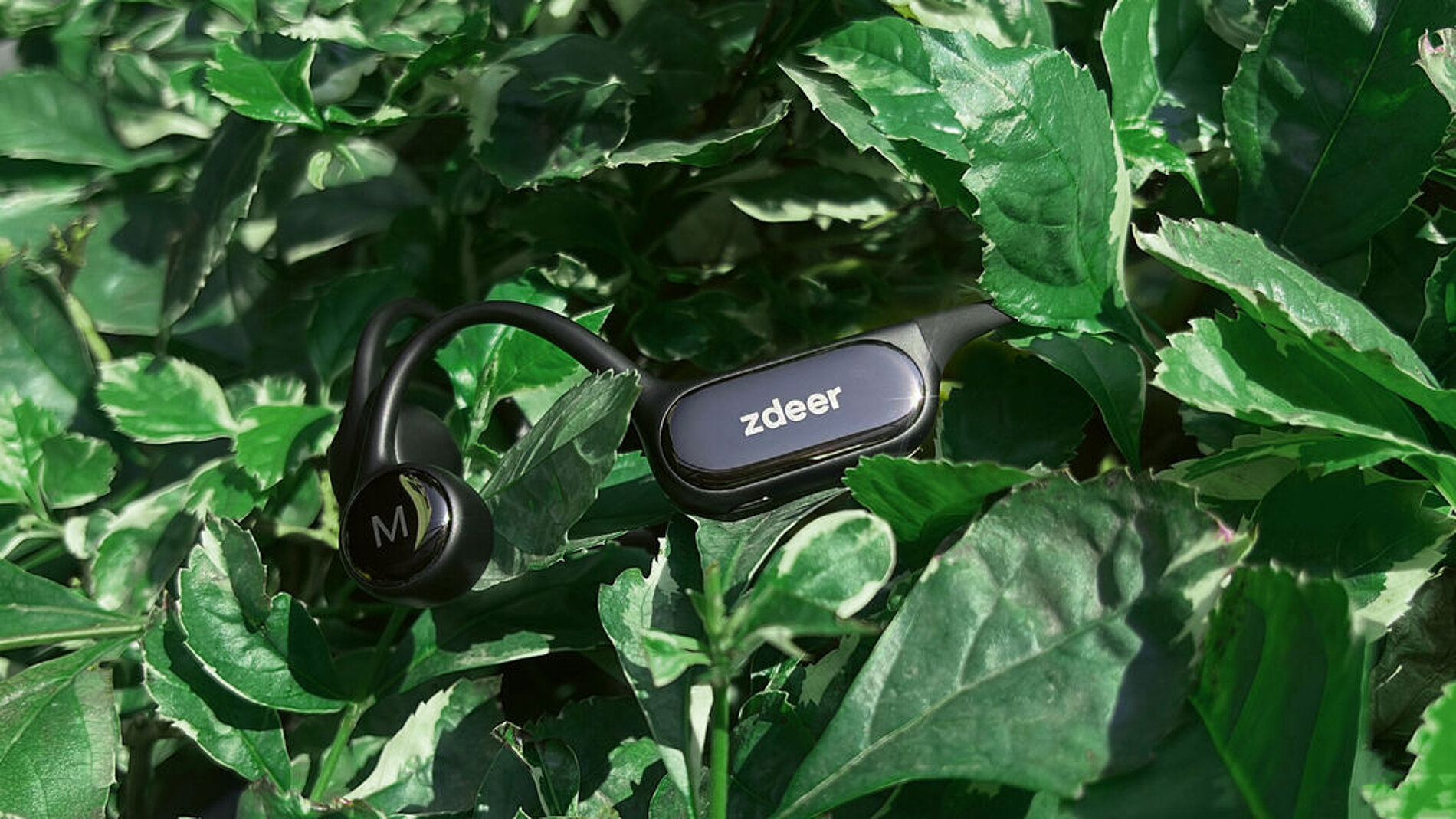 2025 Red Dot Product Design Award，Medical Design and Healthcare，deaf-aid，