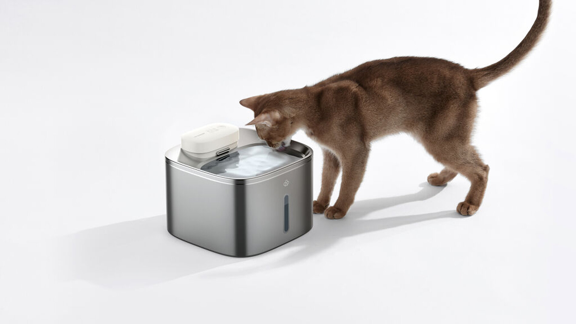 2025 Red Dot Product Design Award，Outdoor & Sports & Leisure，Pet Supply，