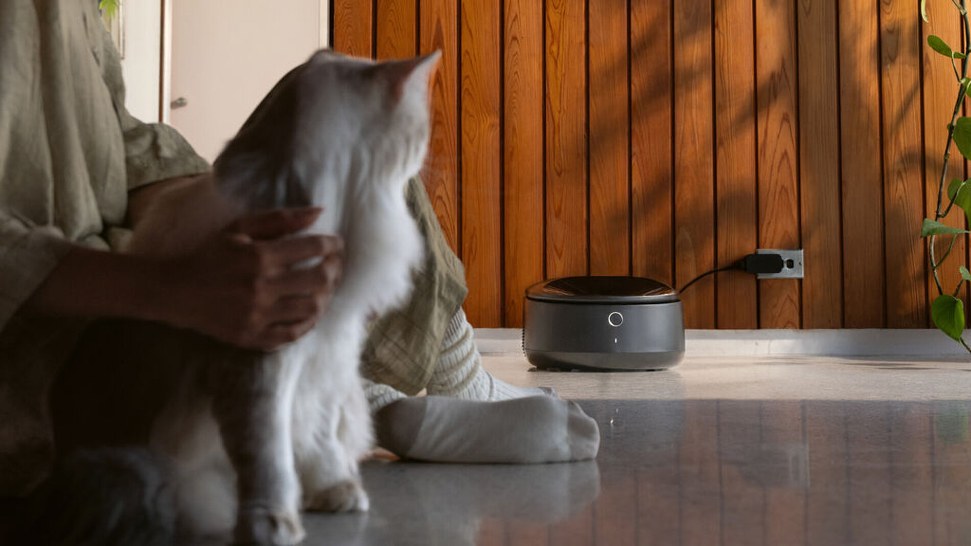 2025 Red Dot Product Design Award，Outdoor & Sports & Leisure，Pet Supply，