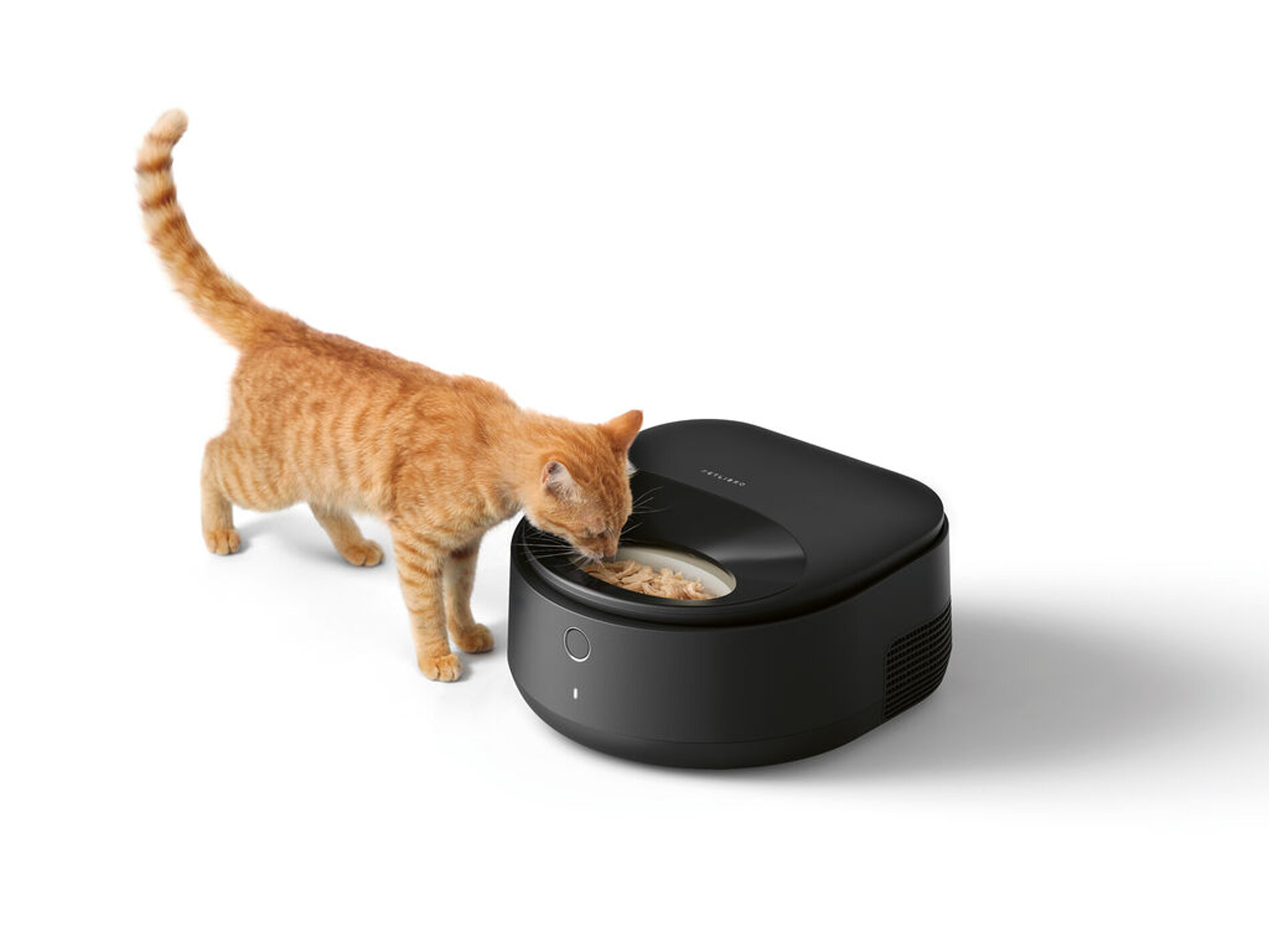 2025 Red Dot Product Design Award，Outdoor & Sports & Leisure，Pet Supply，