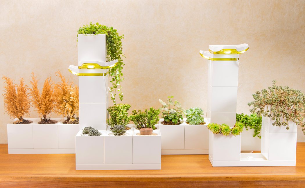 Flowerpot，modularization，Fleshy，