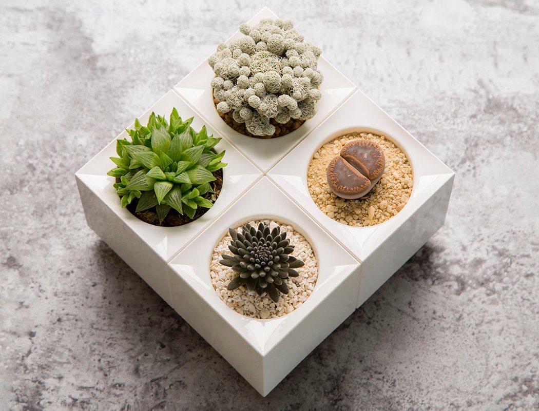 Flowerpot，modularization，Fleshy，