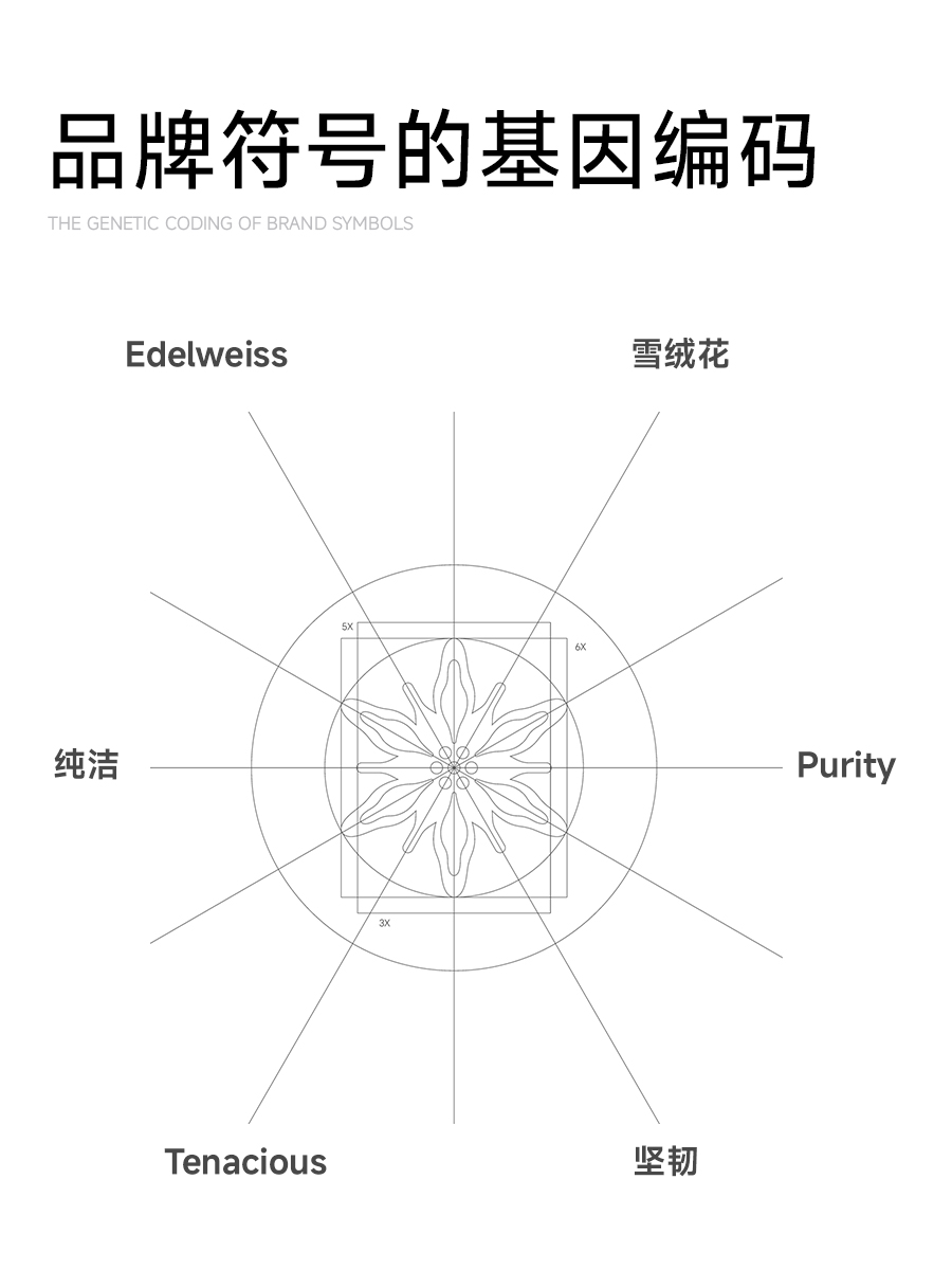 Large row of lights，Beauty black technology，Design sharing，Whole case design，