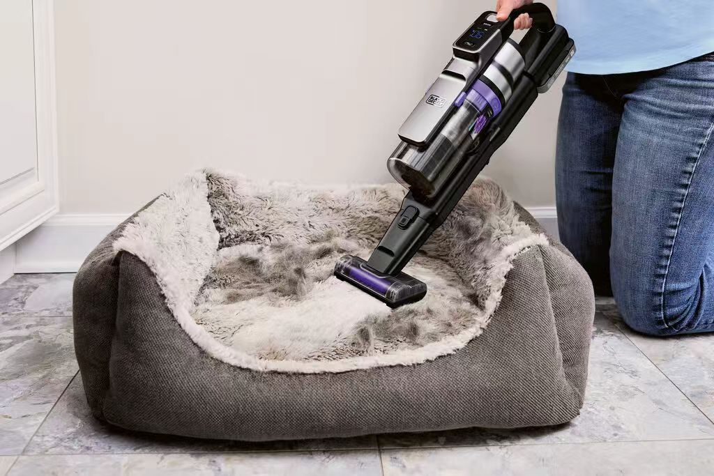 Zhejiang One Point，