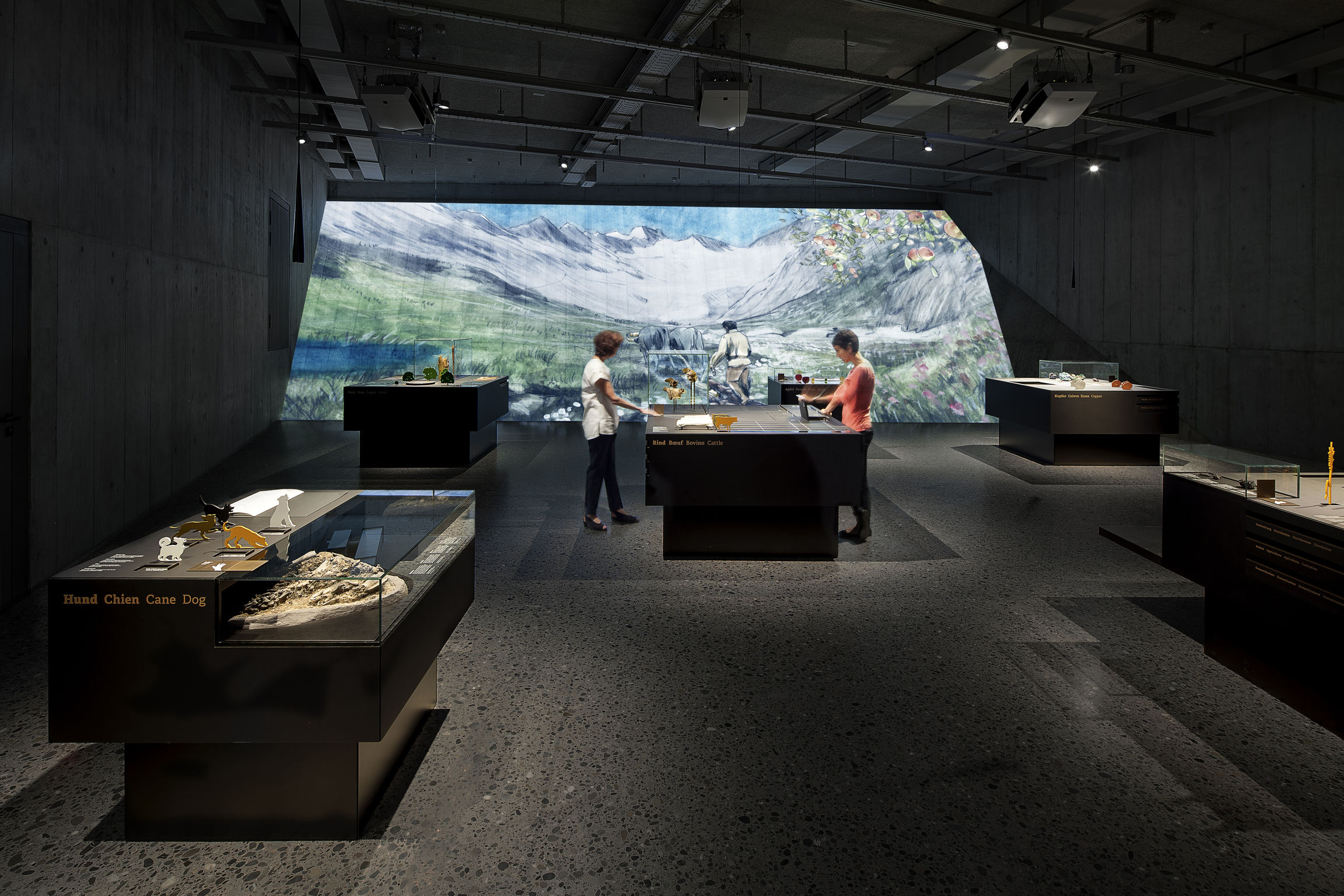 Archaeological Exhibition，Architecture，industrial design，2018if Award，