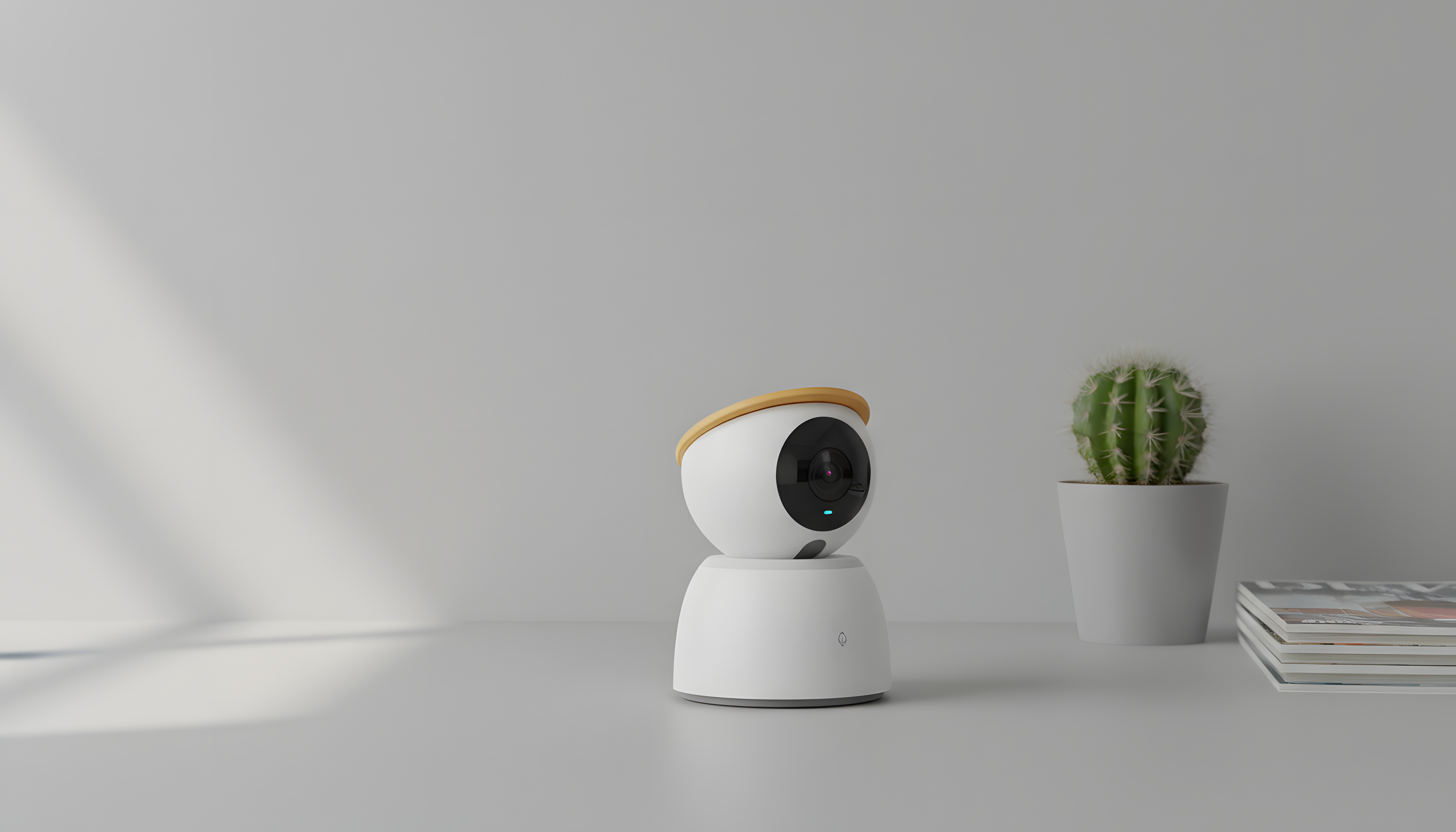 camera，Home，guard，accompany，