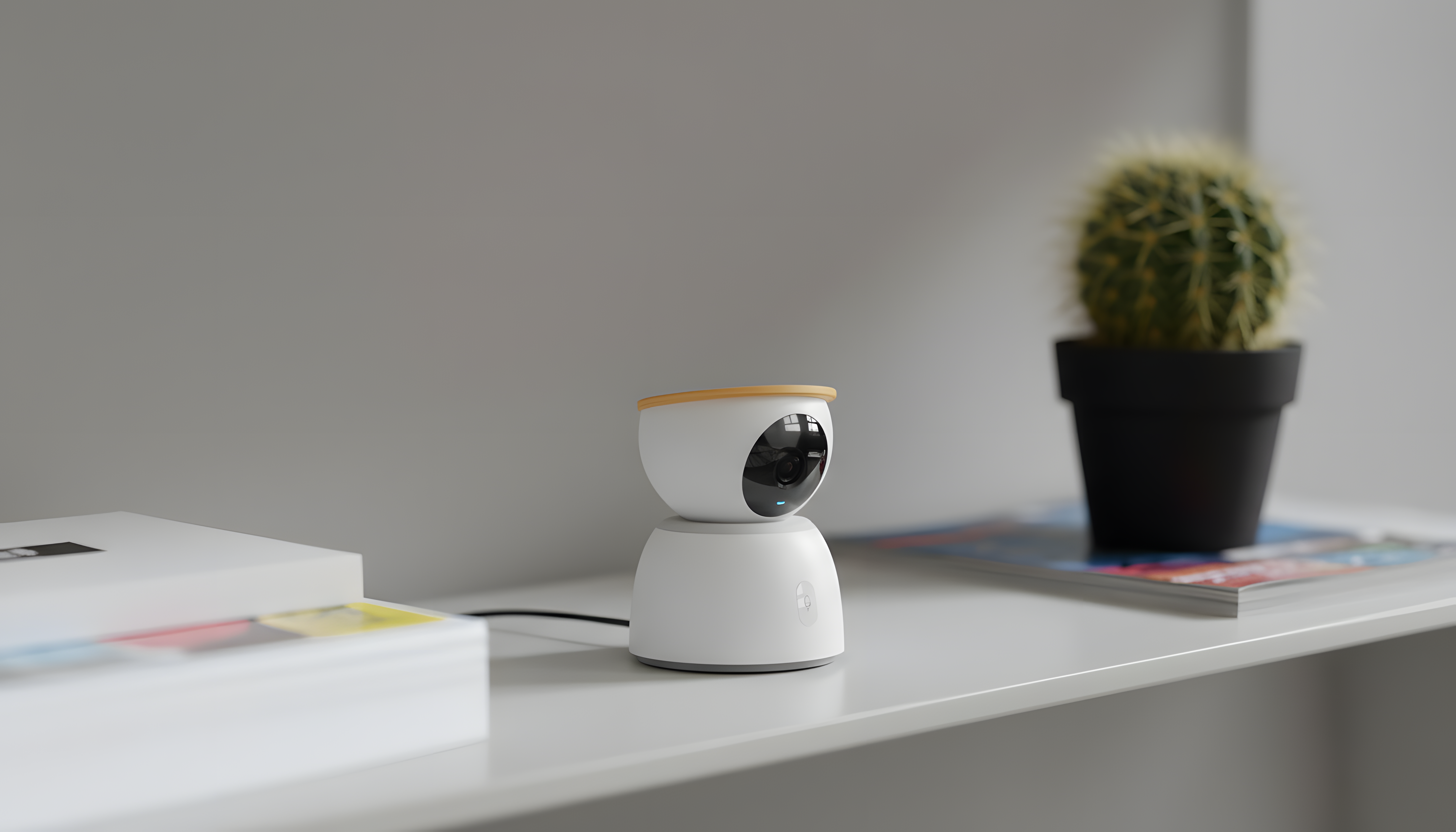 camera，Home，guard，accompany，