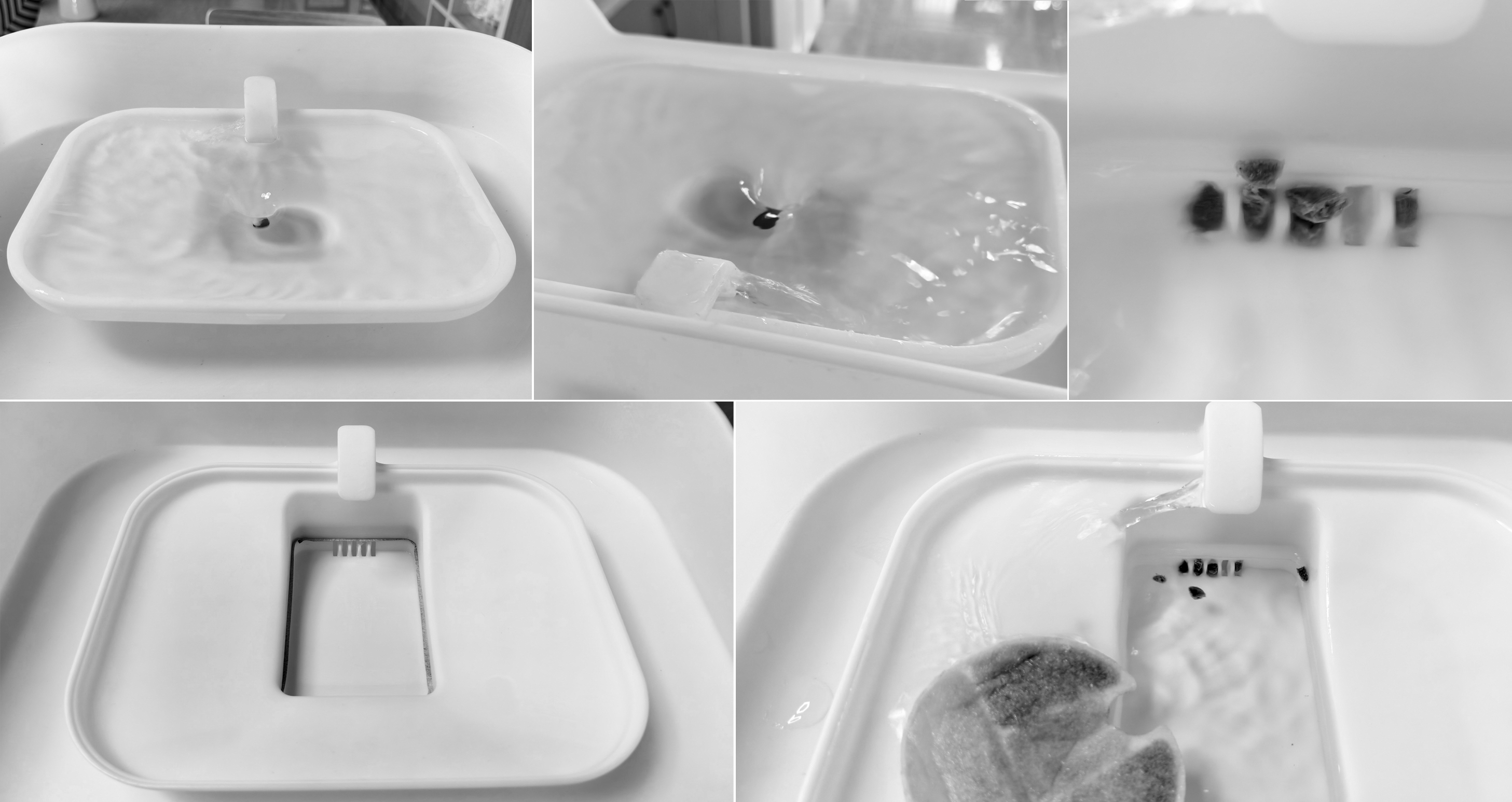 Pet Water Drinker, Pet Supplies, Water Drinker，