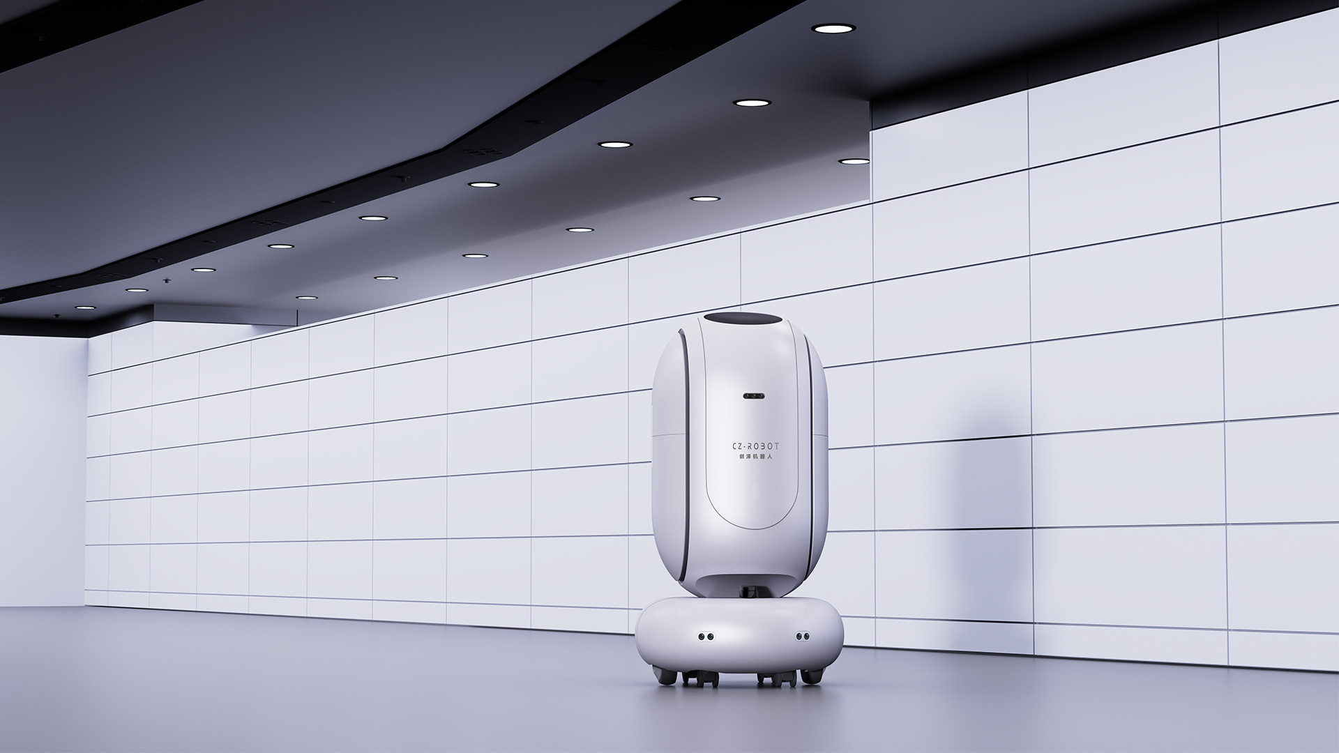 Appearance design，