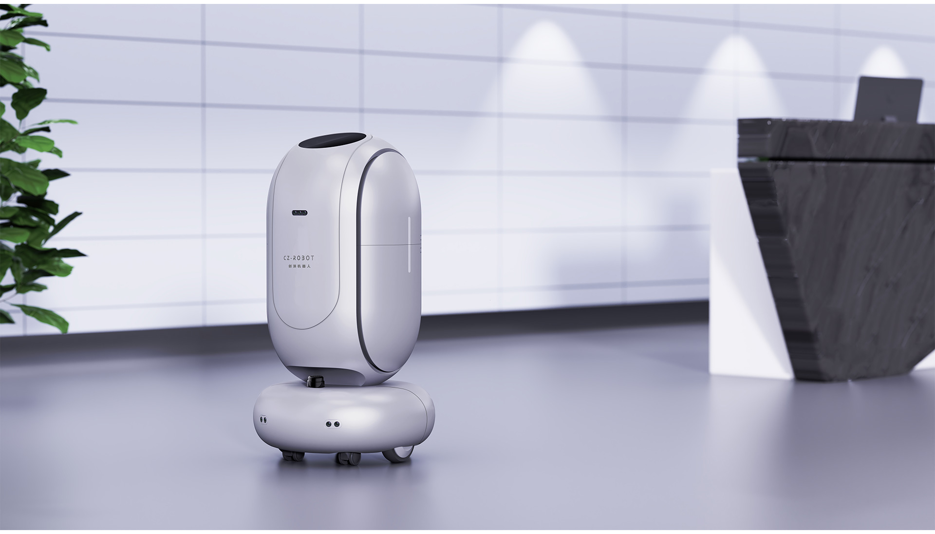 Appearance design，