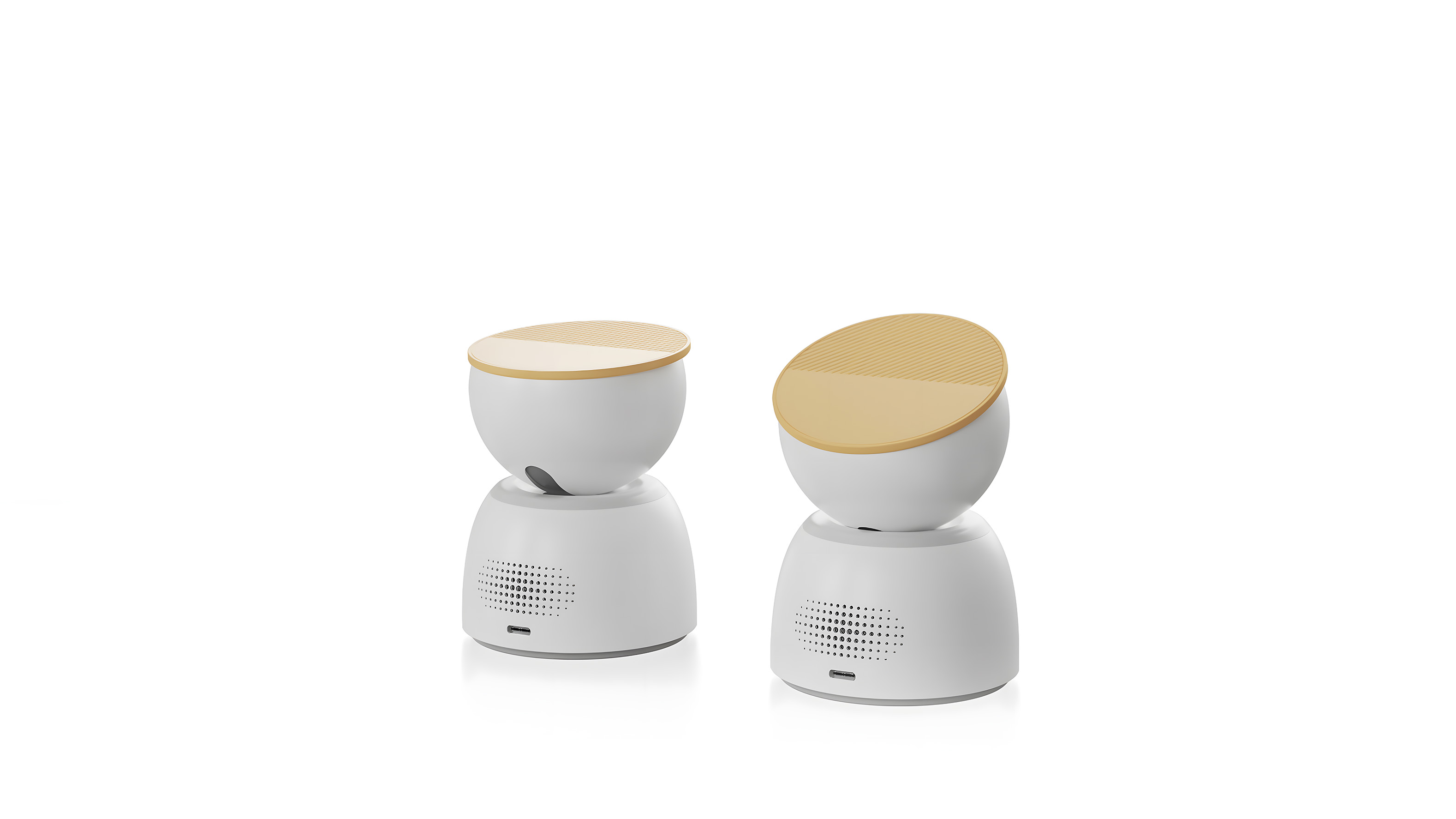 camera，Home，guard，accompany，