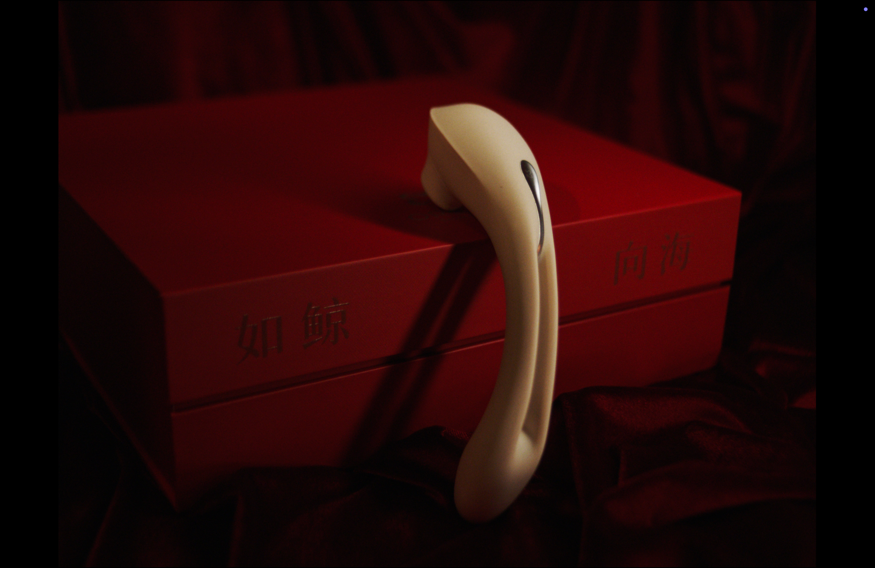 product design，Women's products，Sex toy，Salt outside the meaning，