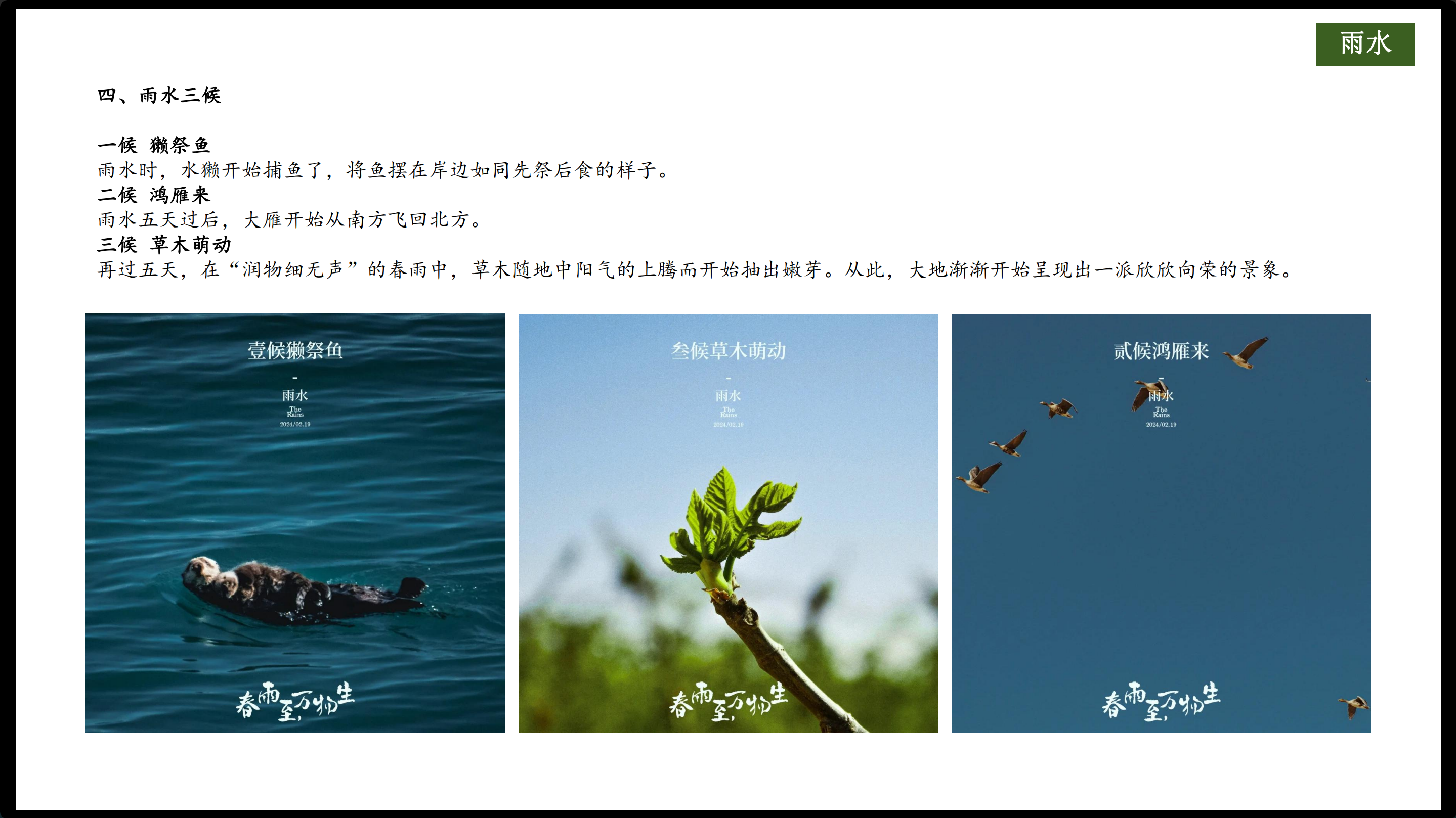 rain，twenty-four solar terms，Cultural creation，Ornaments，Atmosphere lamp，