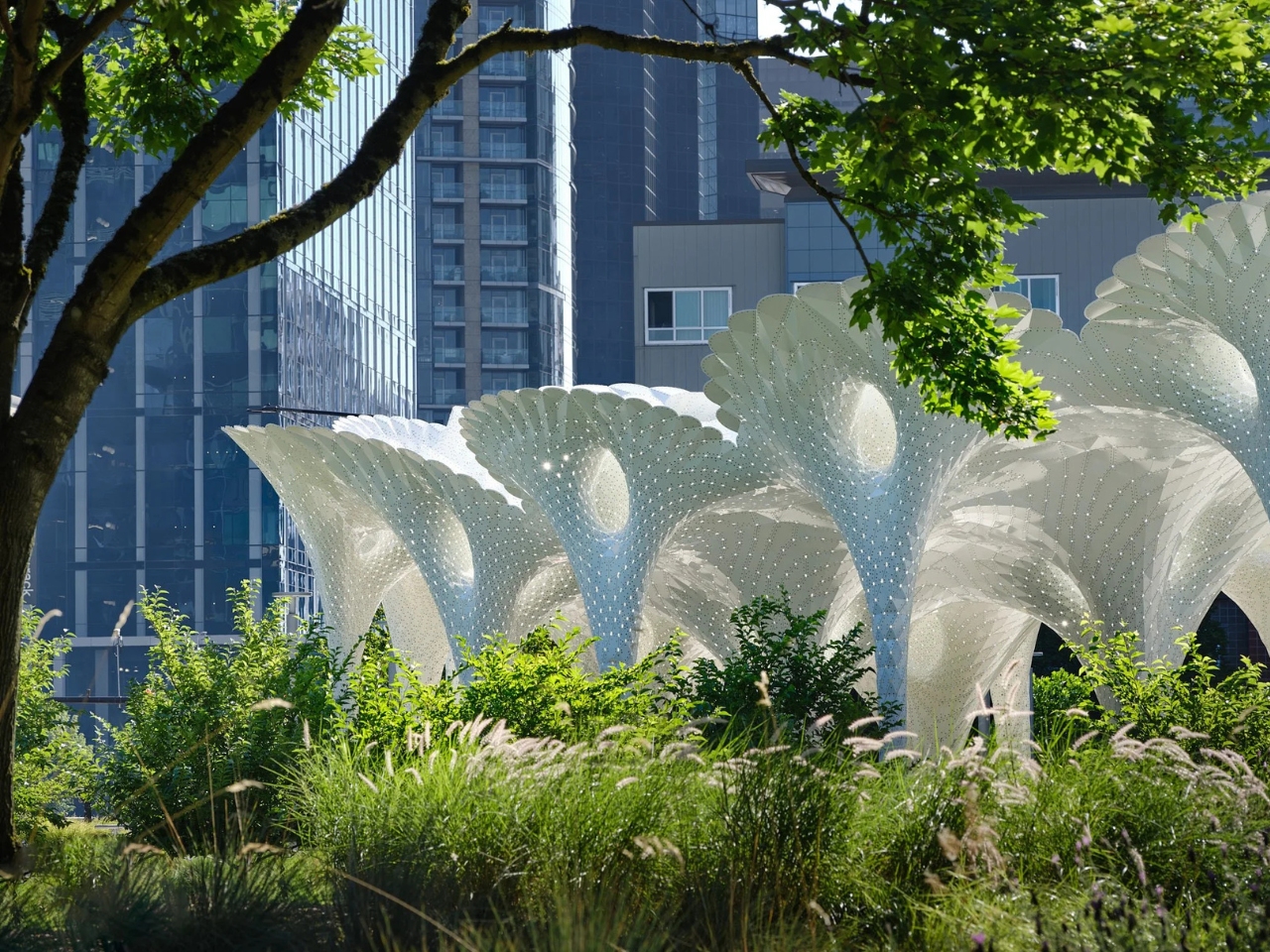 Public installations，environmental design，Architecture，originality，