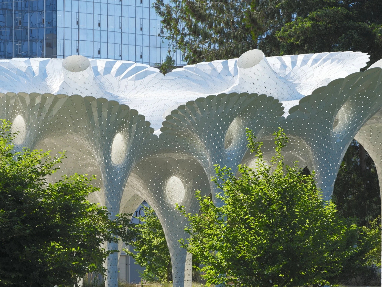 Public installations，environmental design，Architecture，originality，