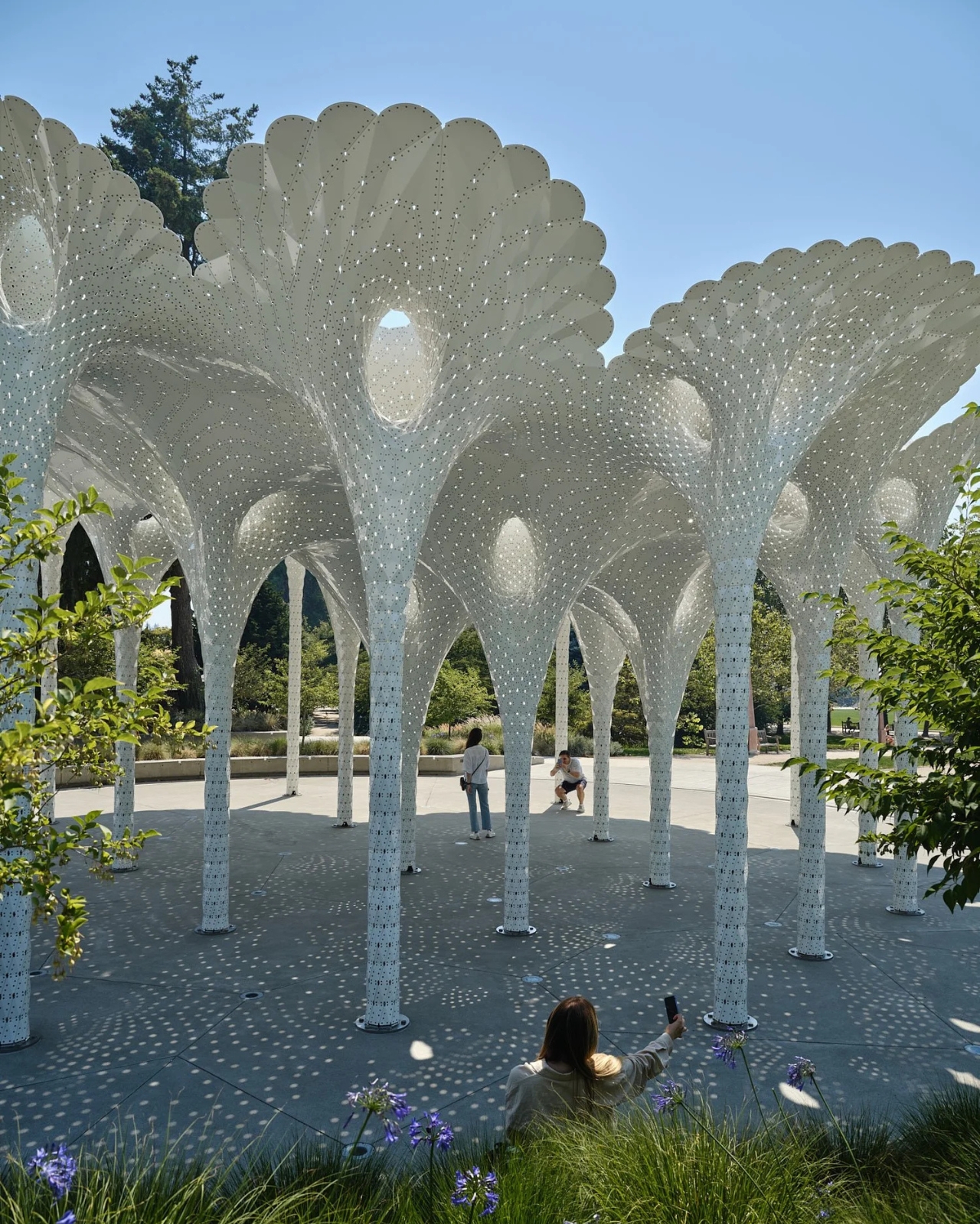 Public installations，environmental design，Architecture，originality，