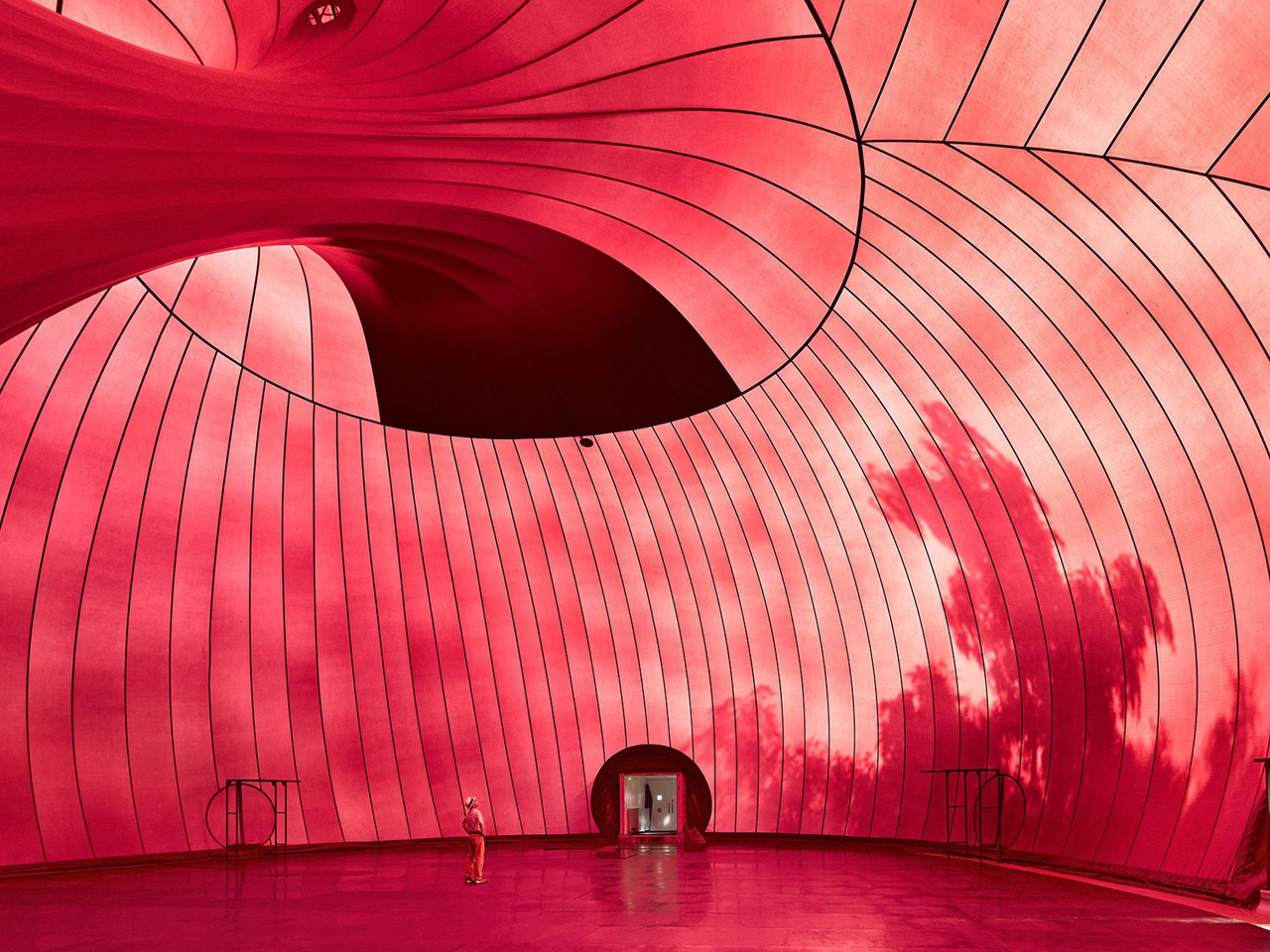 Ark Nova，Concert Hall，environment，Architecture，