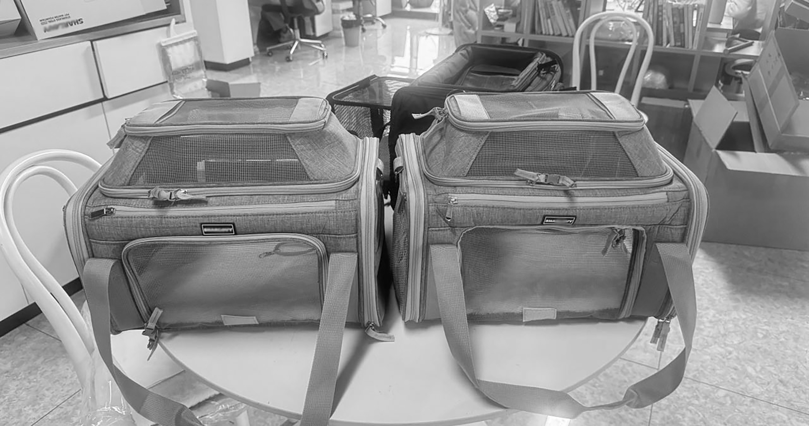 Cat bag, cat travel bag, pet backpack, pet bag，