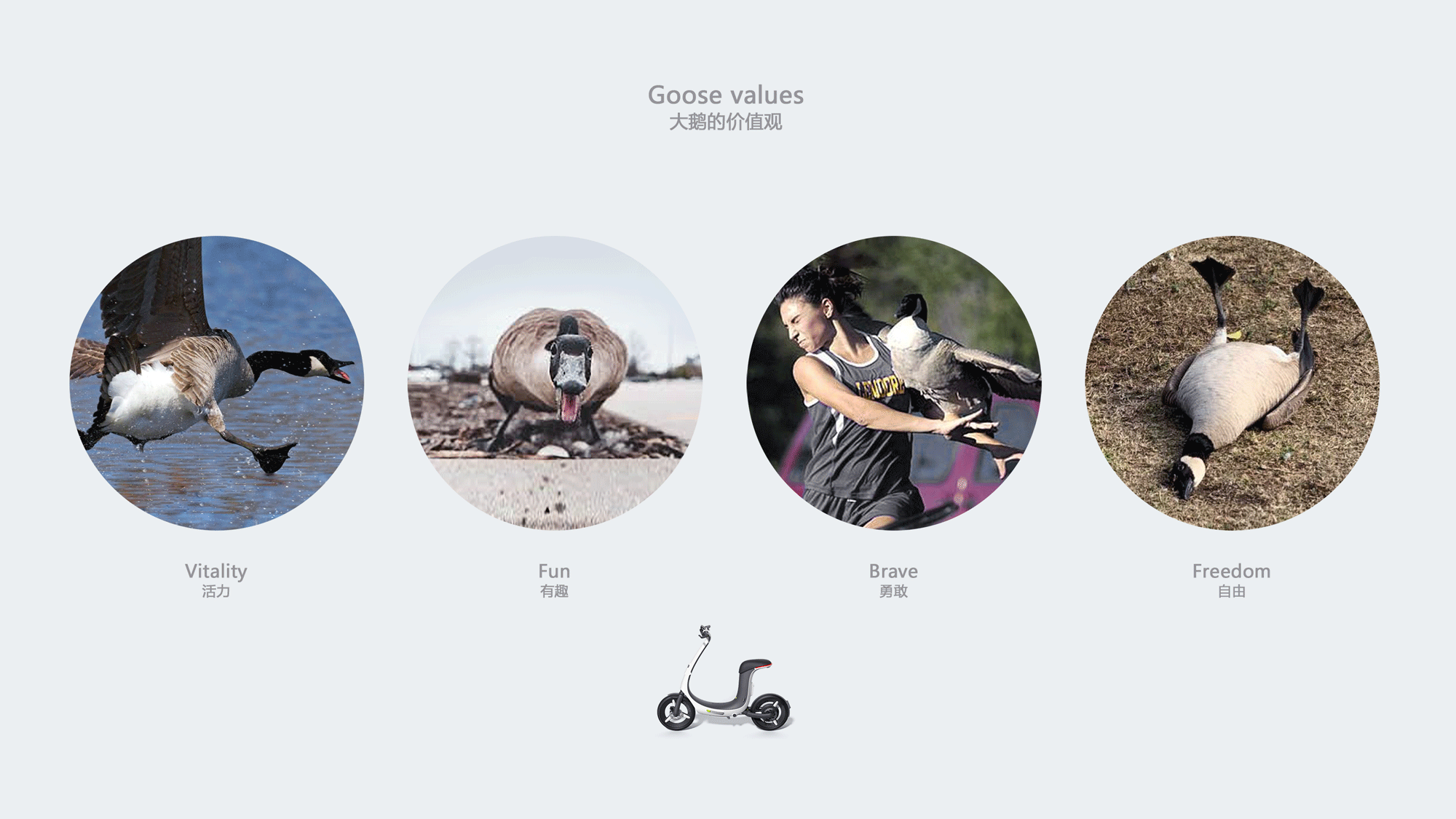 industrial design，product design，Appearance design，Structural design，Production landing，Electric vehicle，