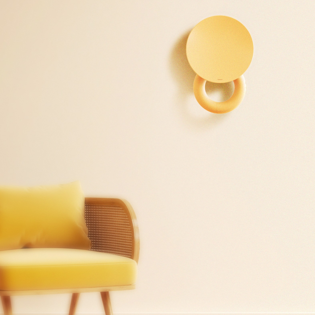 Opluma，Wall mounted，Kettlebell，Fitness Equipment，Ergonomics，