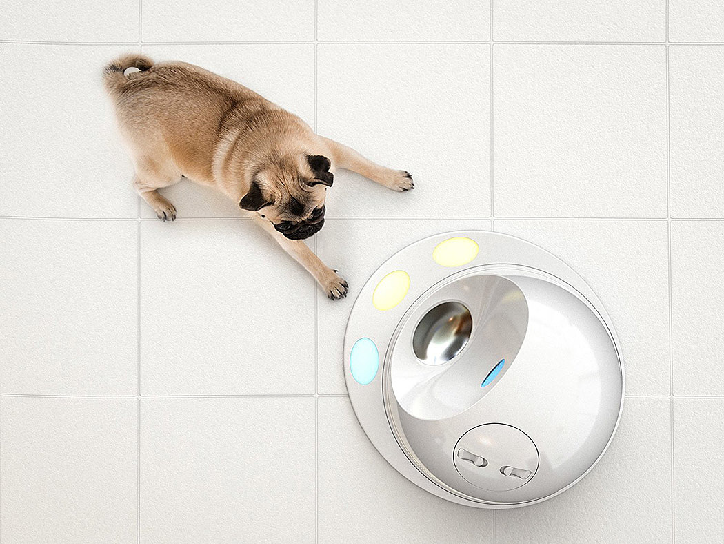 Designed for dogs，wifi，recreational machines，Cleverpet hub，