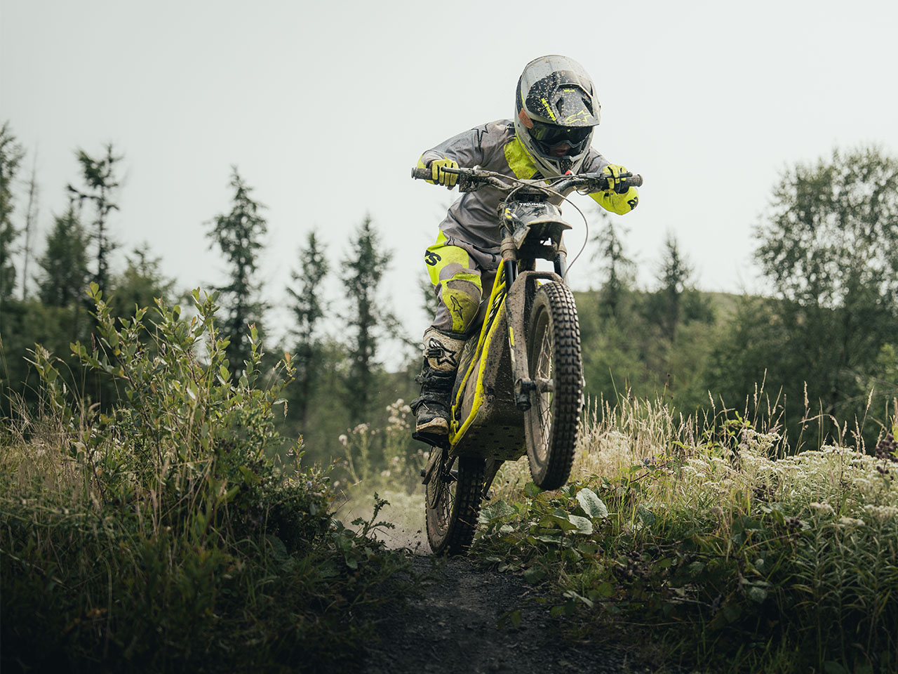 motorcycle，Triumph，Modular design，Children electric car，FOC control，