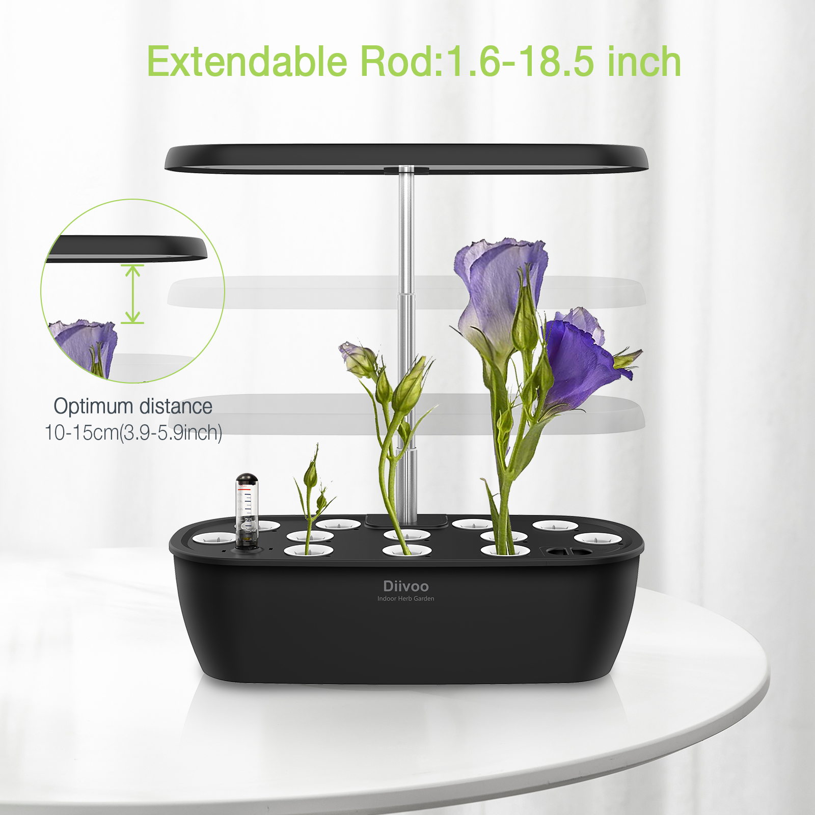 Courtyard lamp，Plant lamp，Appearance design，industrial design，Product Master，