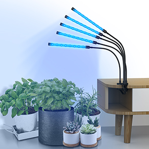 Courtyard lamp，Plant lamp，Appearance design，industrial design，Product Master，