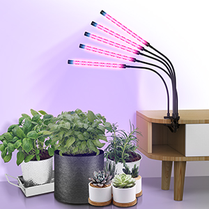 Courtyard lamp，Plant lamp，Appearance design，industrial design，Product Master，