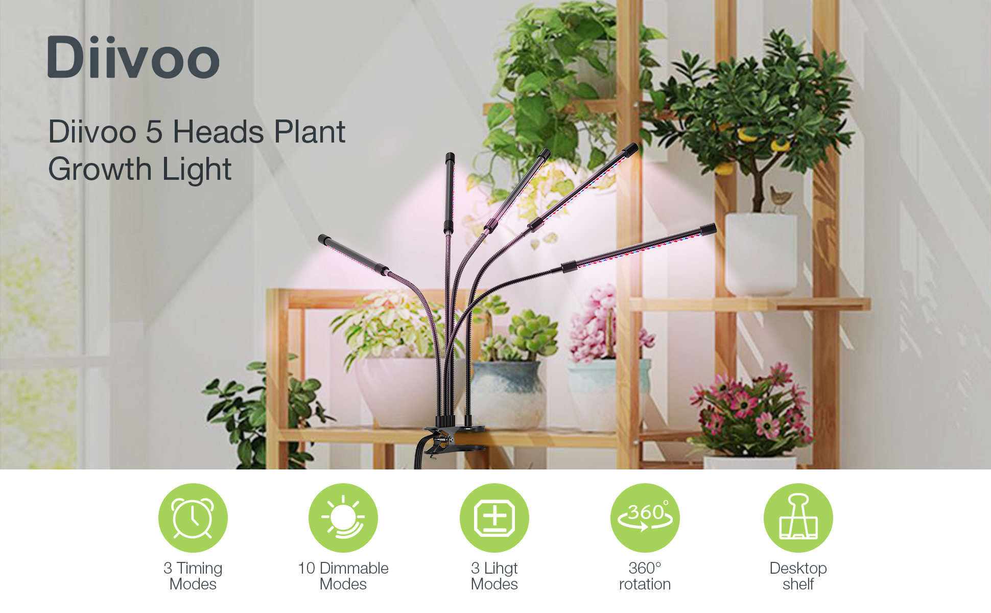 Courtyard lamp，Plant lamp，Appearance design，industrial design，Product Master，