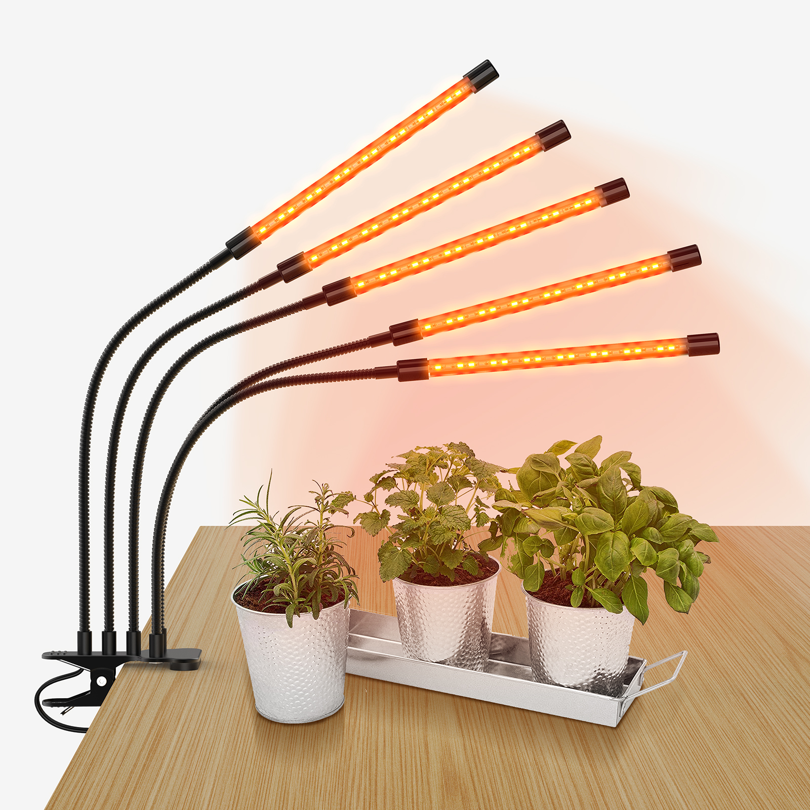 Courtyard lamp，Plant lamp，Appearance design，industrial design，Product Master，